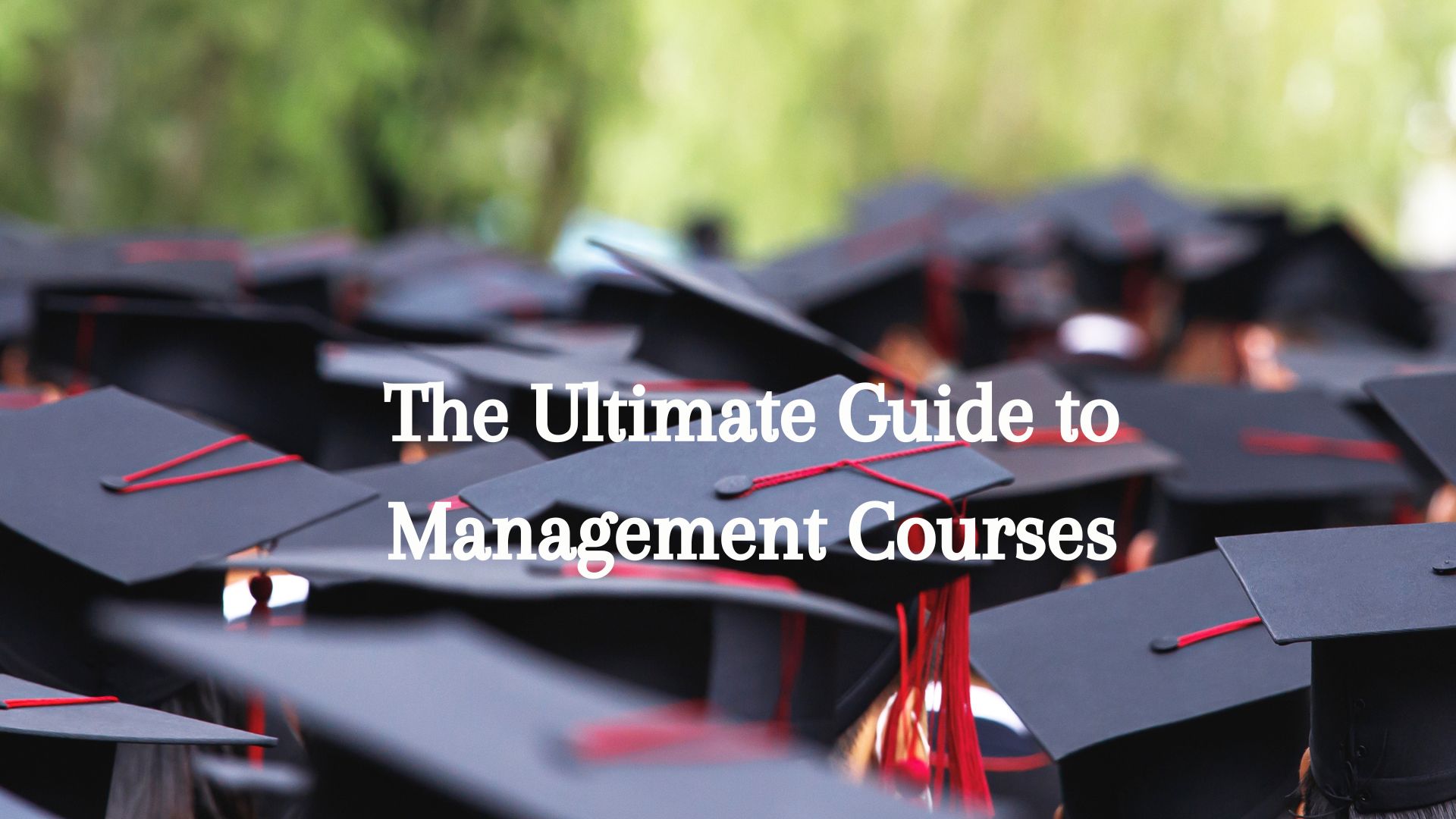 The Ultimate Guide to Management Courses