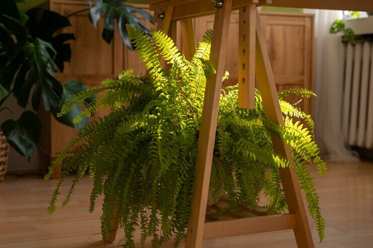 Fake Plants for Every Room
